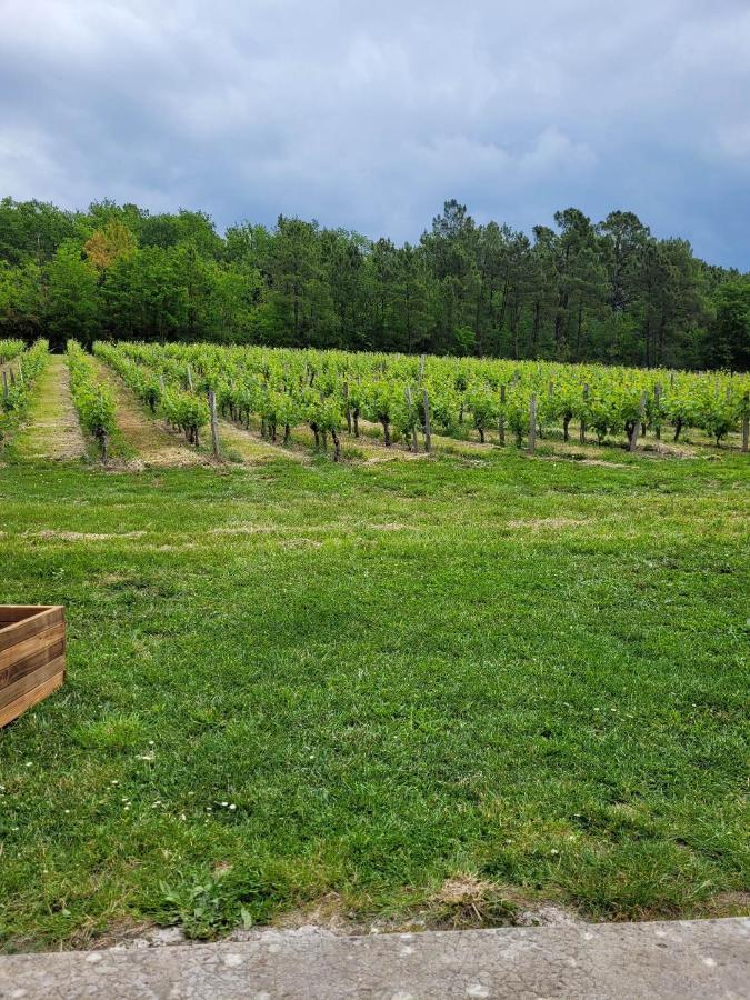 Bed and Breakfast A L'Ombre De La Treille -Proche Saint-Emilion Экстерьер фото